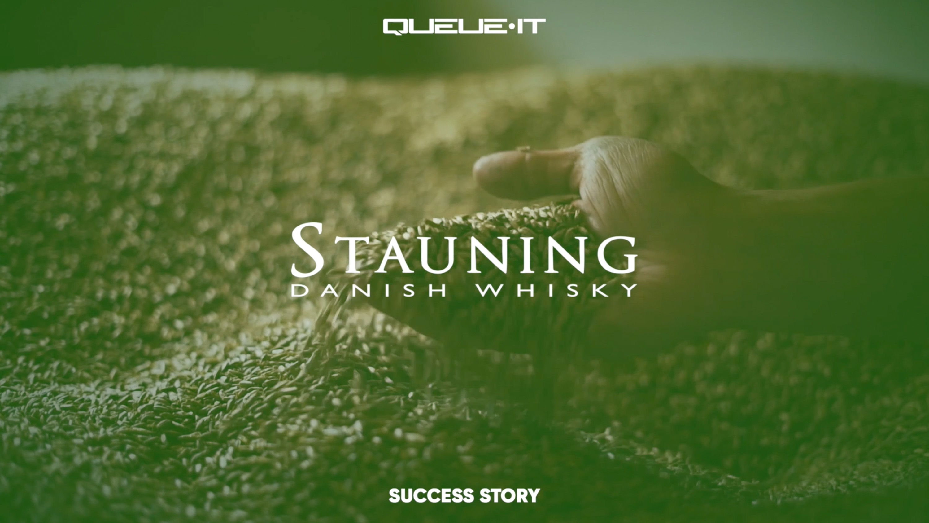 Stauning Whisky hand in grain
