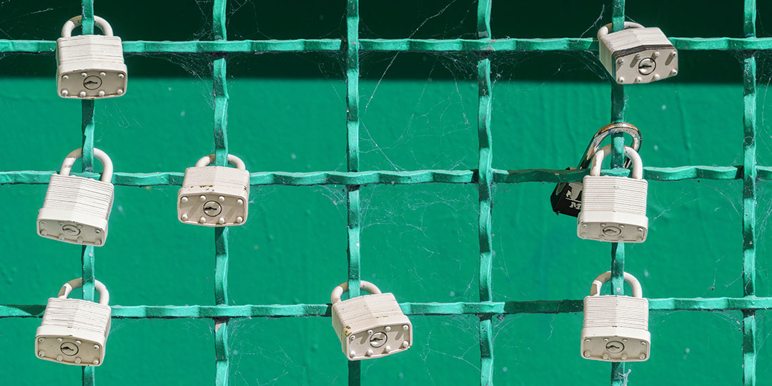 Silver locks on green fence