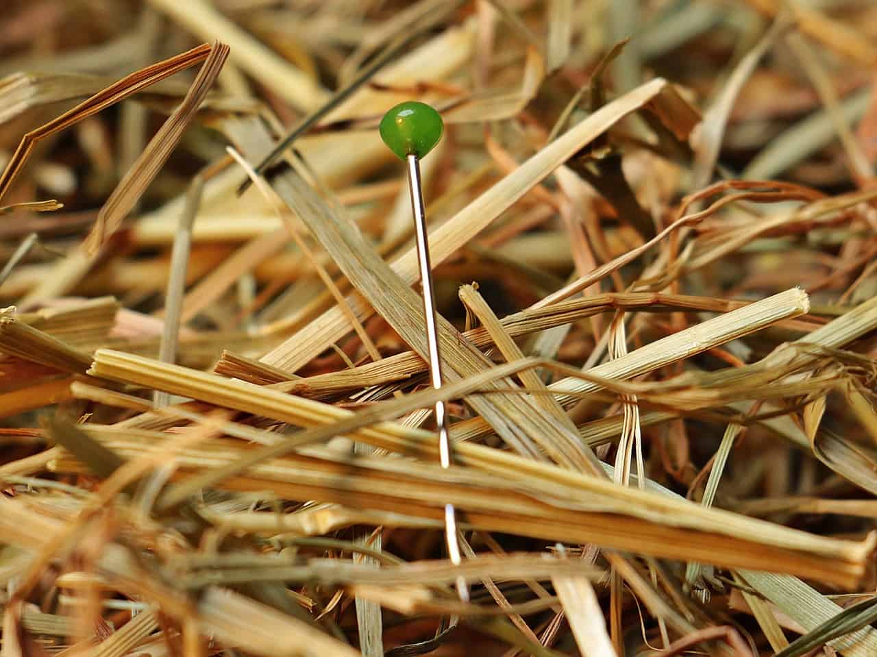 Needle in a haystack