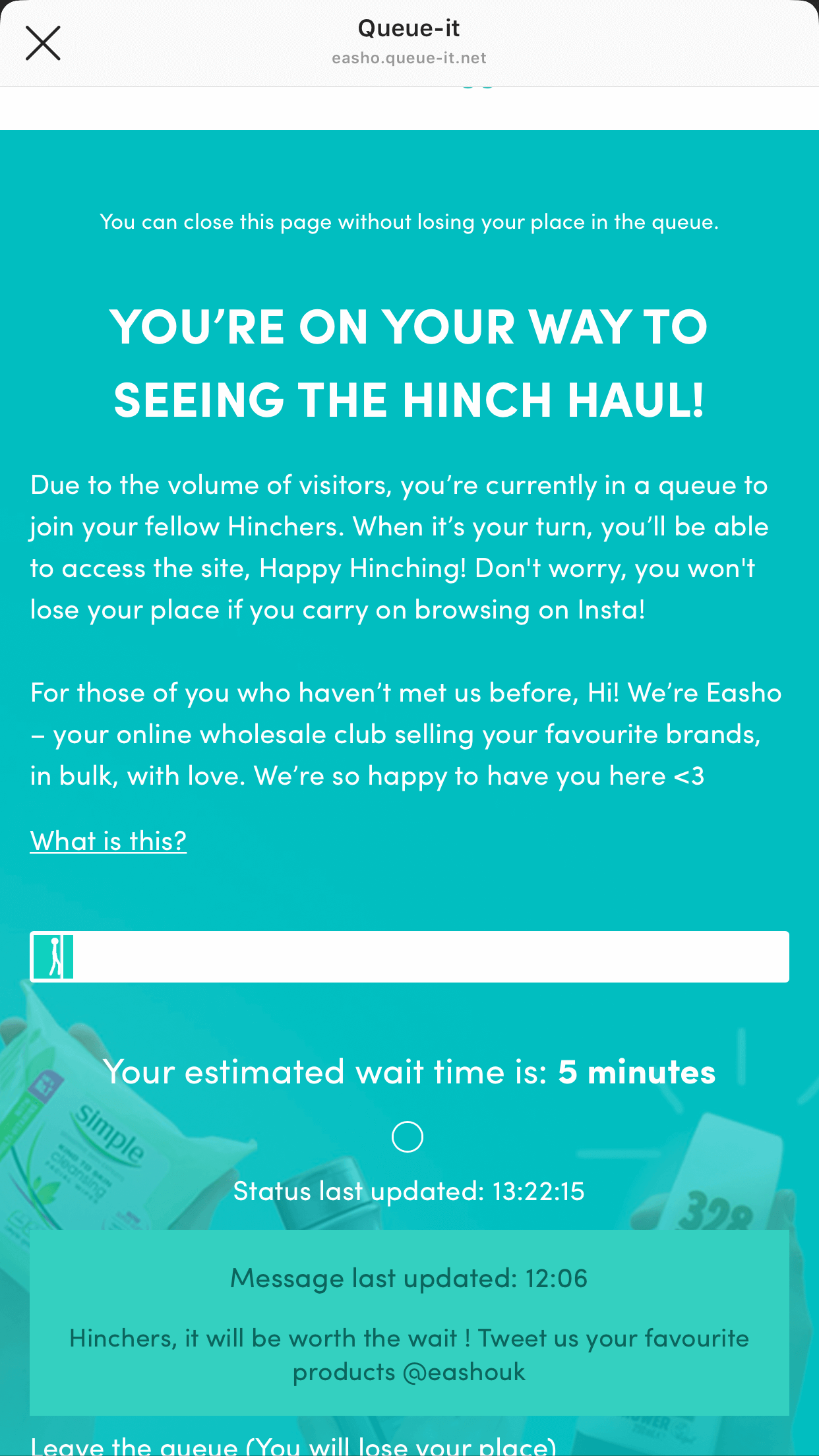 Easho Mrs Hinch's haul queue page