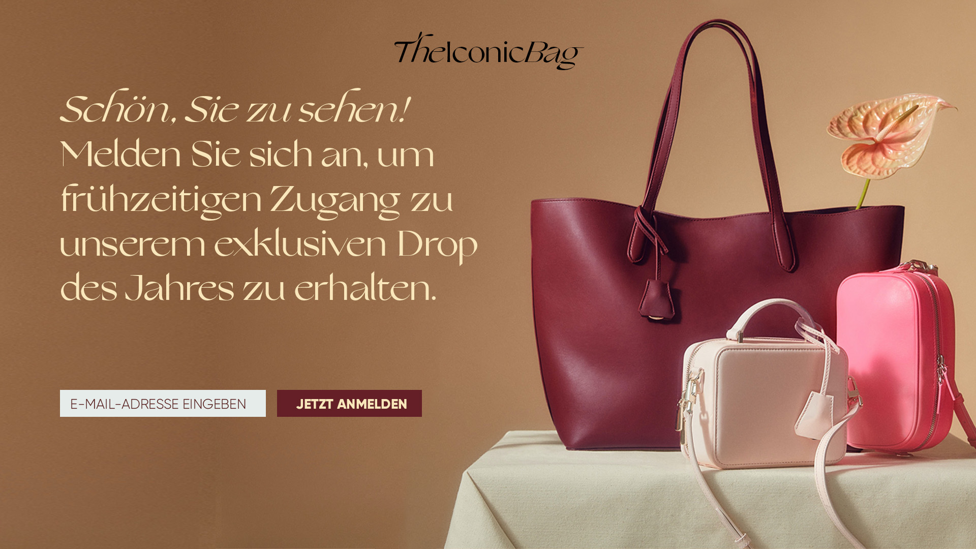 Shoppers join the sale and enter their email